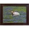 Rustic Furniture Depot Longhorn In Blue Bonnet Field Accessories