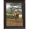 Rustic Furniture Depot Accessories Texas Longhorn Canvas