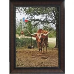 Rustic Furniture Depot Accessories Texas Longhorn Canvas